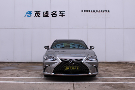 六安二手雷克萨斯ES 2020款 200 卓越版
